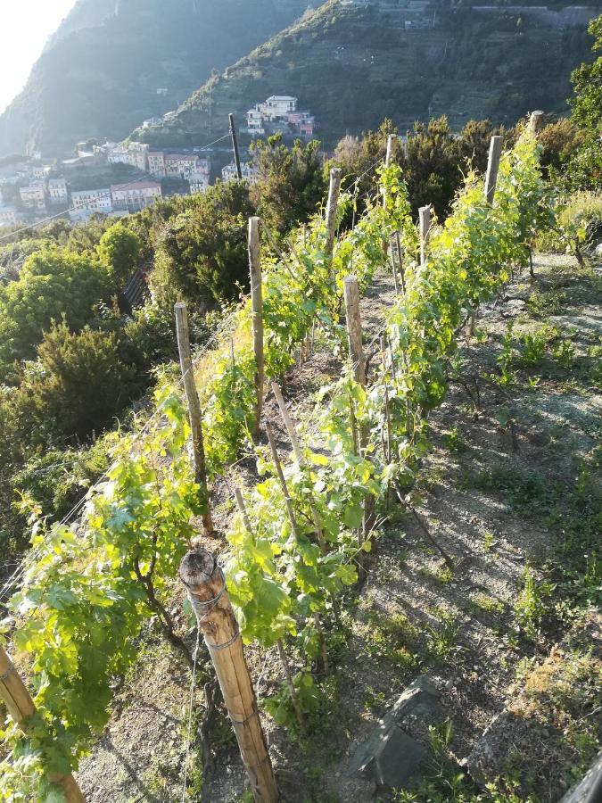 Affittacamere Le Oche Riomaggiore Eksteriør bilde